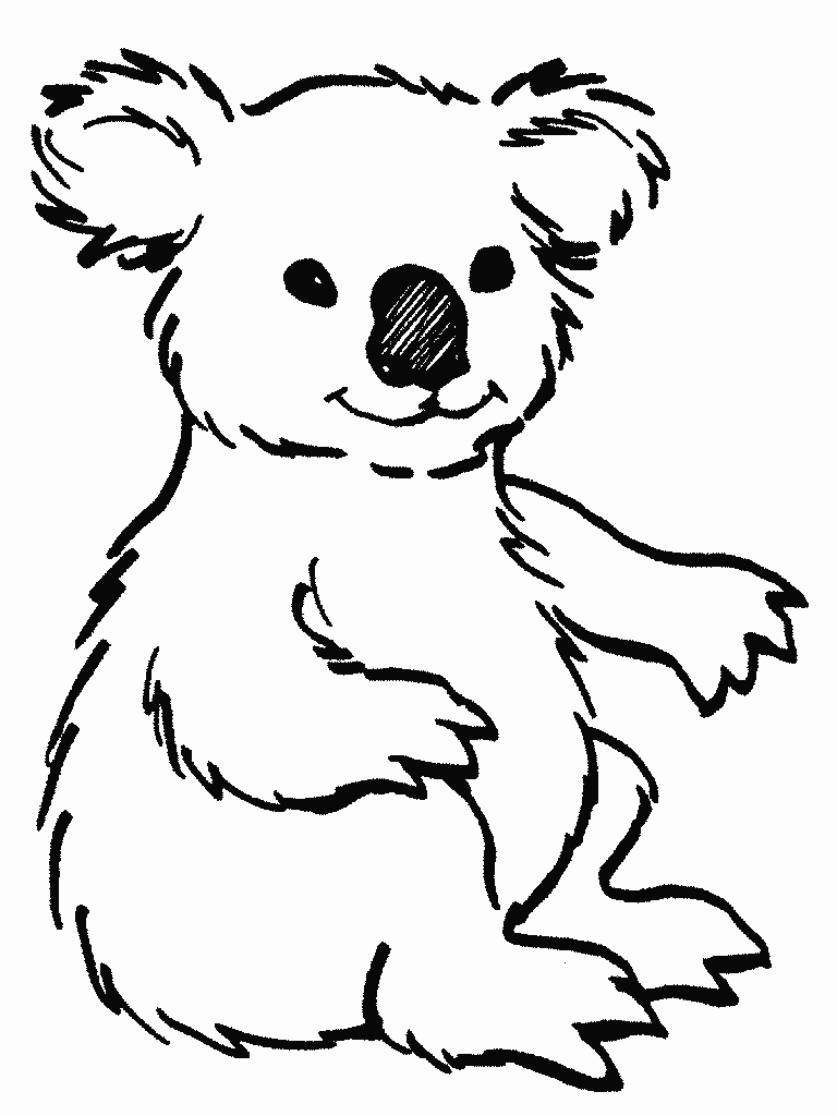1Koala2.gif