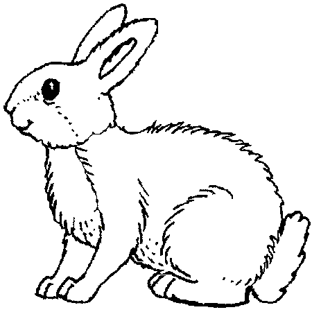 1Lapin.png