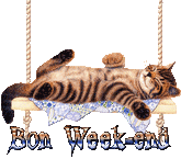 Bon-week-end-chat.gif