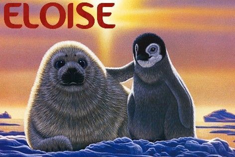 Eloise-phoque.jpg