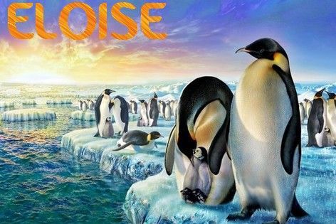 Eloise-pingouin.jpg