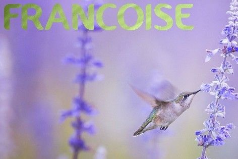 Francoise-colibri2_1.jpg