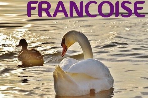 Francoise-cygne3_1.jpg