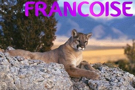 Francoise-puma2_1.jpg