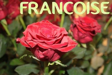 Francoise-rose5_1.jpg