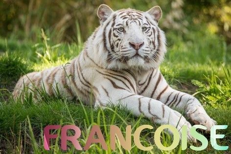 Francoise-tigre-blanc2_1.jpg