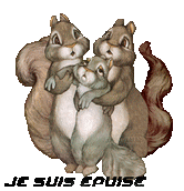 Je-suis-epuise-ecureuil.gif