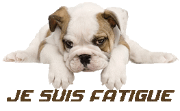Je-suis-fatigue-chiot.gif