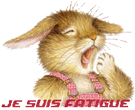 Je-suis-fatigue-lapin.gif