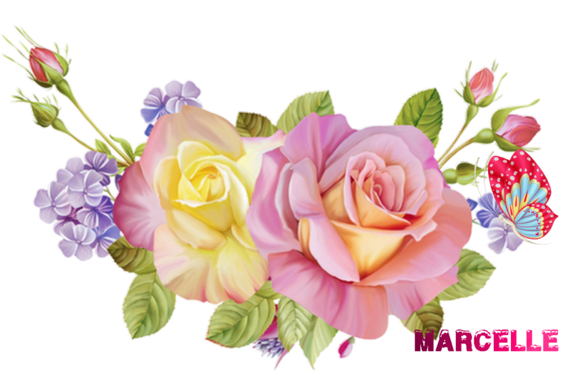 Marcelle.png