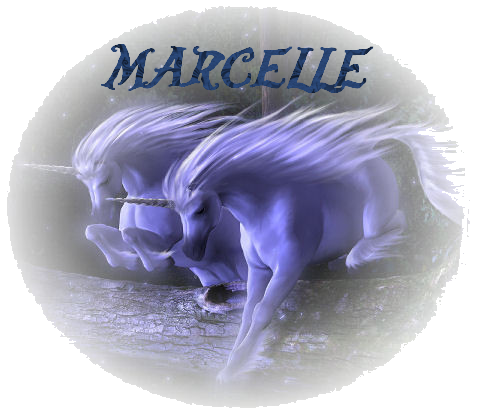 Marcelle9.png